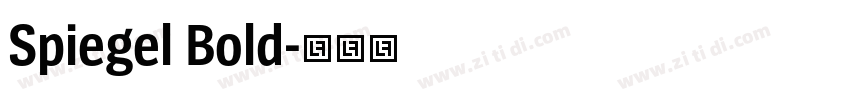 Spiegel Bold字体转换